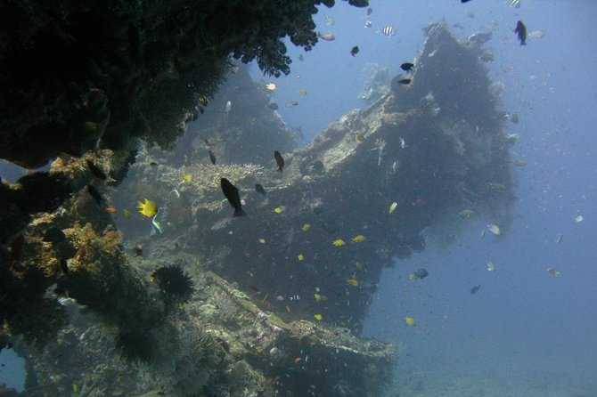 PADI Discover Scuba Diving for Beginners in Tulamben - Medical Considerations