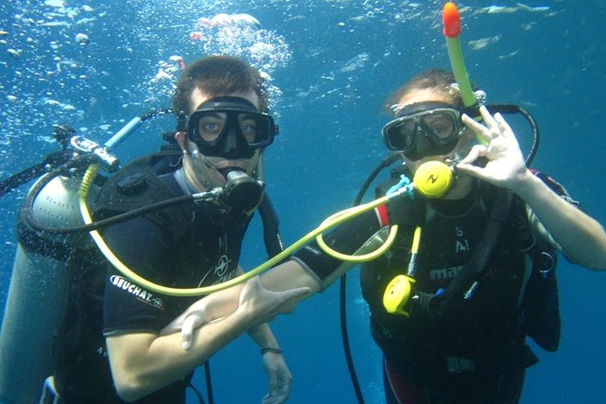 PADI Discover Scuba Diving for Beginners in Tulamben - Pricing Information
