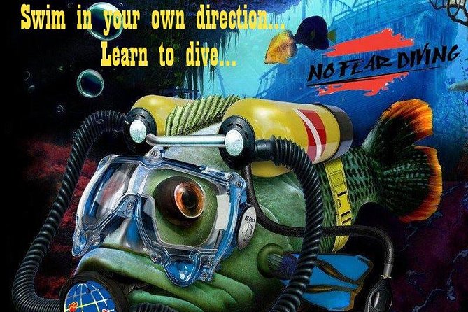 Padi Discover Scuba Diving In Amed Bali - Accessibility and Accommodations