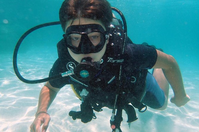 PADI Discover Scuba Diving in Koh Tao - Half Day and Two Dives - Snorkeling Equipment and Amenities