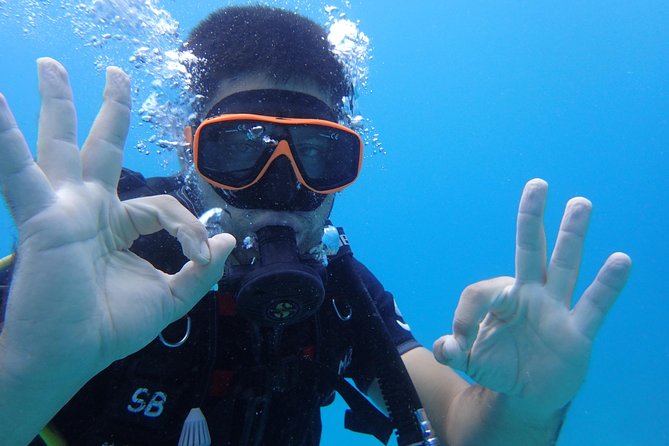 PADI Discover Scuba Diving in Koh Tao - Half Day and Two Dives - Meeting and Pickup Details