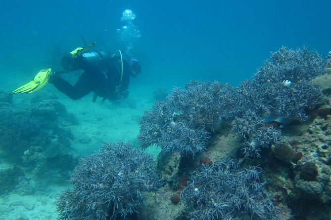 PADI Discover Scuba Diving - Introduction Program for Beginners - Skill Learning and Refreshing