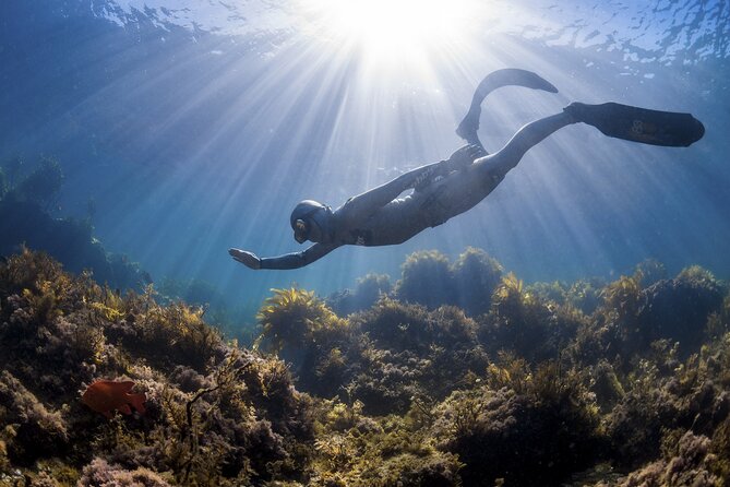 PADI Freediver Course - Breath-Holding Abilities and Benefits