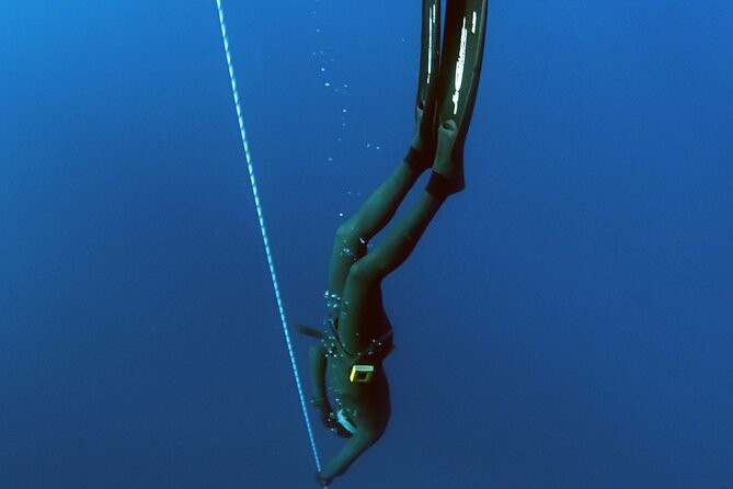 PADI Freediver Course - Whats Included
