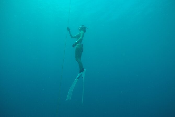 PADI Freediver Course - Guest Accessibility