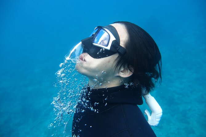 PADI Freediver Course - Meal Offerings