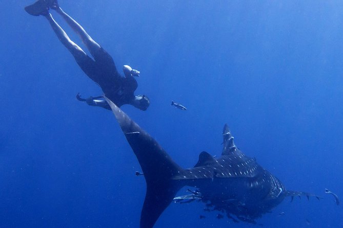 Padi Freediver, Learn How to Freedive and Get Your First License (At Koh Chang) - Participant Restrictions
