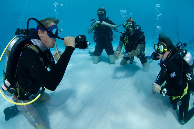 PADI Open Water Course - Meeting and Pickup