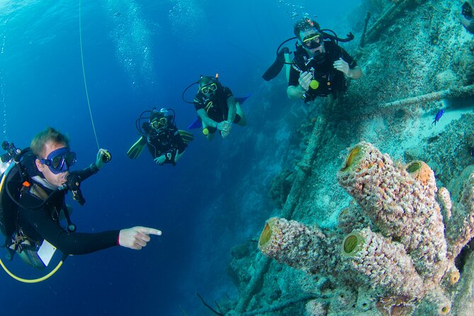 PADI Open Water Course - Health and Accessibility