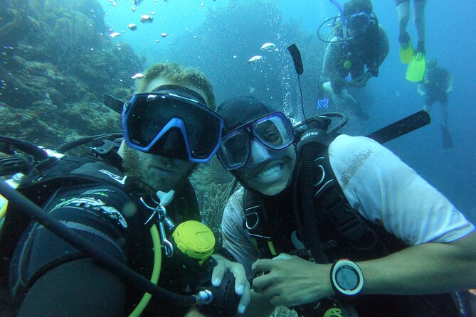 PADI Open Water Course - Reviews and Ratings