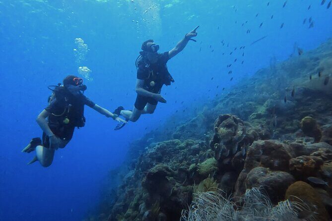 PADI Open Water Course in 3 days - Key Points