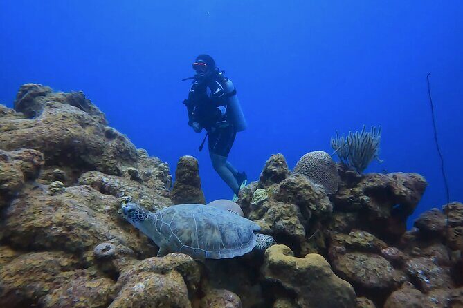 PADI Open Water Course in 3 days - An In-Depth Look at the PADI Open Water Course in Curacao