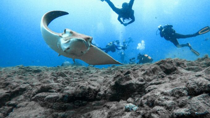 PADI Open Water Course in 3 Days - Booking and Cancellation Policies