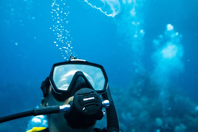 PADI Open Water Course in Gran Canaria - Quick Points