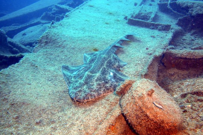 PADI Open Water Course in Gran Canaria - Pickup and Meeting Information