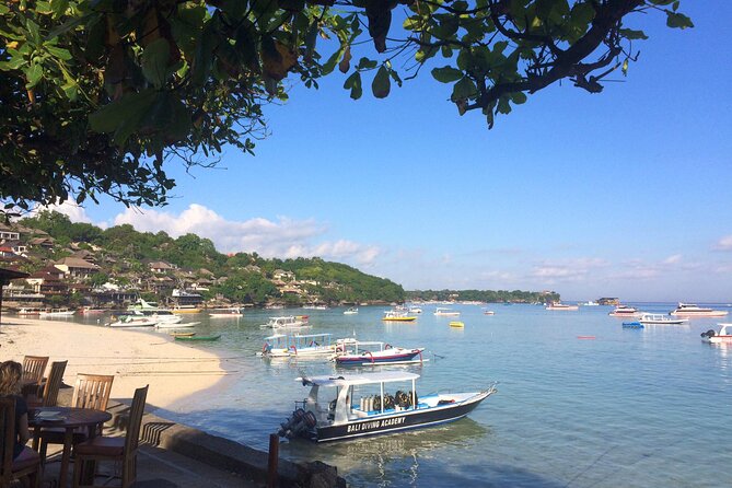 PADI Open Water Course in Lembongan - Get Certified & Dive Anywhere in the World - Theoretical and Practical Aspects