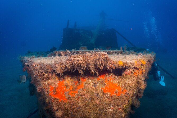 PADI Open Water Course in Playa De Las Americas - Certification Options