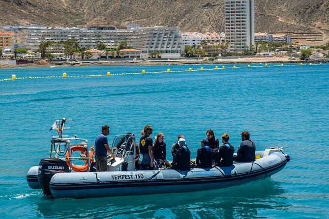 PADI Open Water Course in Playa De Las Americas - Ratings and Reviews