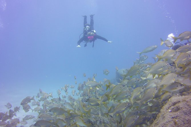 PADI Open Water Diver Course - Dive Experience