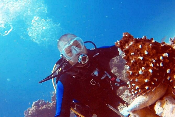PADI Open Water Diver Course in Hurghada - Learn Scuba Diving - Included Amenities
