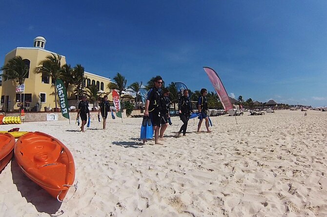 PADI Open Water Diver Course in the Riviera Maya - Reviews and Pricing