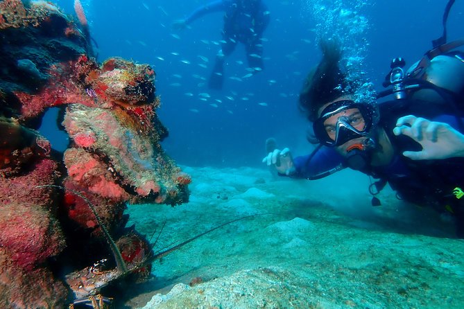 PADI Open Water Diving Course - Key Points