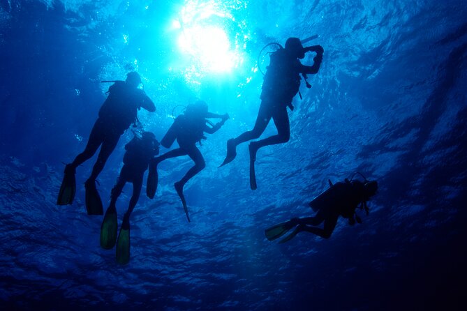 PADI Rescue Diver Course - Pricing and Policies