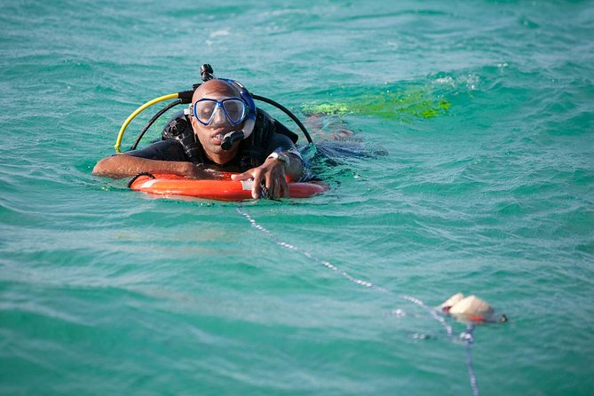 PADI Rescue Diver Course in Gran Canaria - Reviews and Ratings