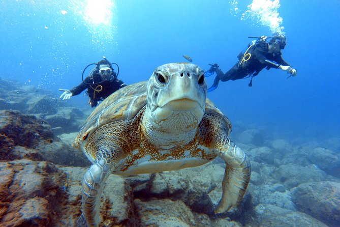 PADI Scuba Dive Course in Costa Adeje - Cancellation Policy and Refunds