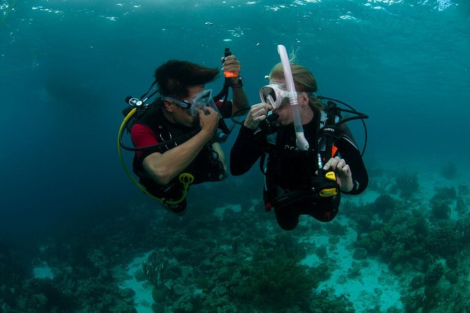 PADI Scuba Diver Course - Pricing and Inclusions