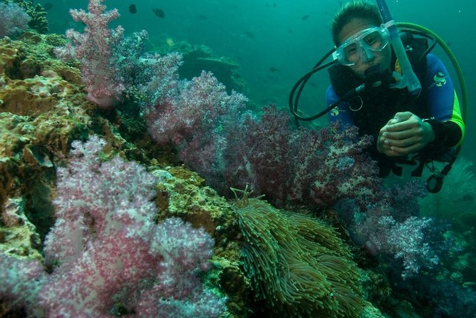 PADI Scuba Diver Course - PADI Certification