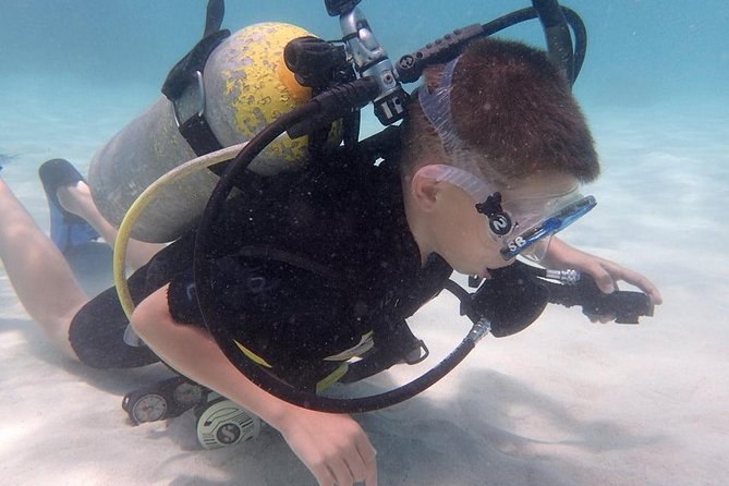 PADI Scuba Diver Course for Beginners Two Days One Night Accommodation Included - Included Activities