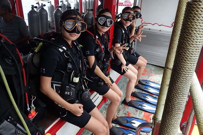 PADI Scuba Diver Course for Beginners Two Days One Night Accommodation Included - Accommodation