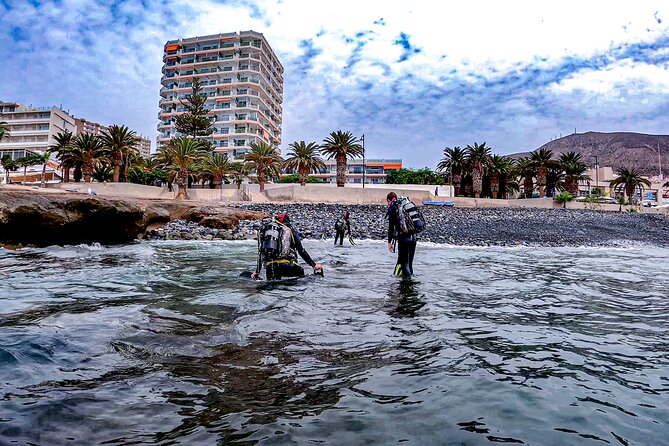 PADI Scuba Diving Courses in Tenerife: All Specialities Until Divemaster - Open Water Certification