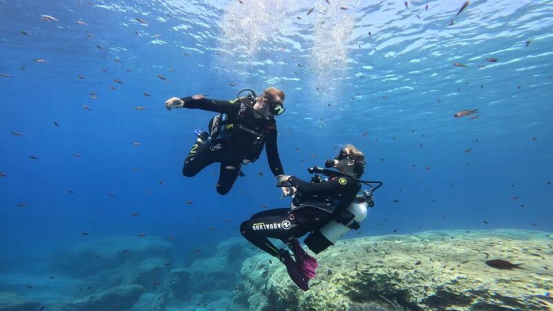 PADI Scuba Diving Program for Beginners in Peloponesse - Guided by Multilingual Instructors