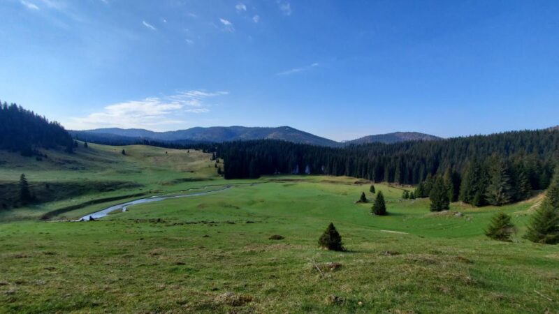 Padis: a Hike or Bike Ride to the Heart of Apuseni - Key Points