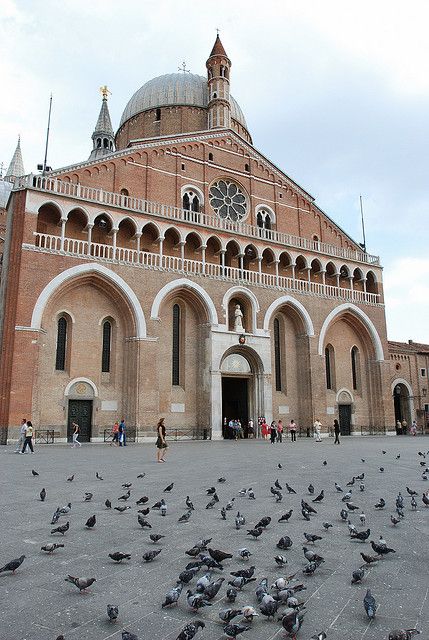 Padua City 2.5-Hour Walking Tour - Inclusions and Important Information