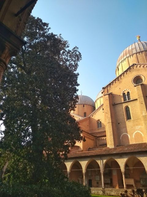 Padua: Experience Padova Like a Local – Guided Tour - Included Services
