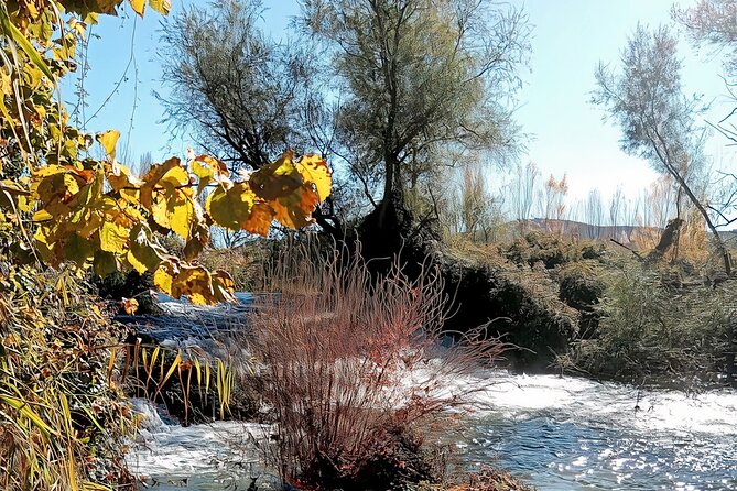 Paella, Olive Oil, Wine & Relax in Rural Estate Outside Madrid - Private Transportation From Madrid
