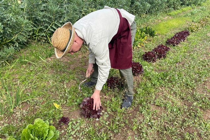 Paella Workshop in Our Farmhouse - Cultural Immersion