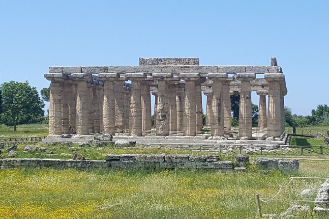Paestum and Dairy Day Tour From Naples - Inclusions