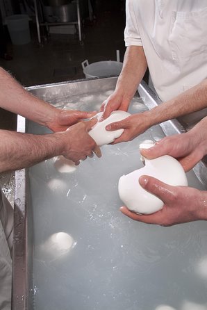 Paestum and Mozzarella Farm Experience - Physical Requirements and Accessibility