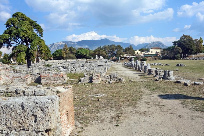 Paestum and Mozzarella Farm Experience - Pricing and Cancellation Policy