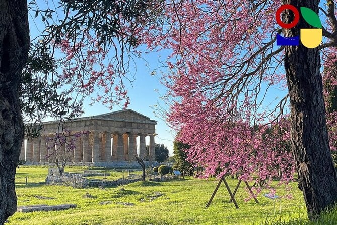 Paestum Orientation Tour - Booking Information