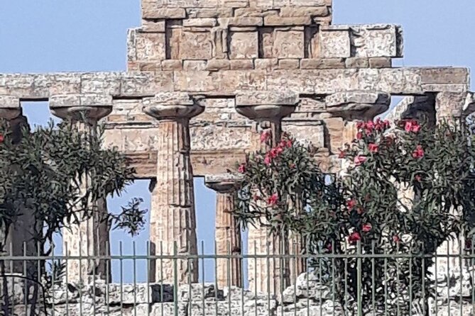 Paestum Park and Bufalo Farm Day Tour From Sorrento - Visiting the Buffalo Farm