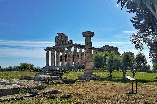 Paestum Park and Bufalo Farm Day Tour From Sorrento - Booking and Confirmation