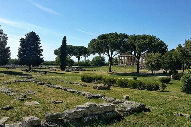 Paestum Park and Bufalo Farm Day Tour From Sorrento - Tour Accessibility and Reviews