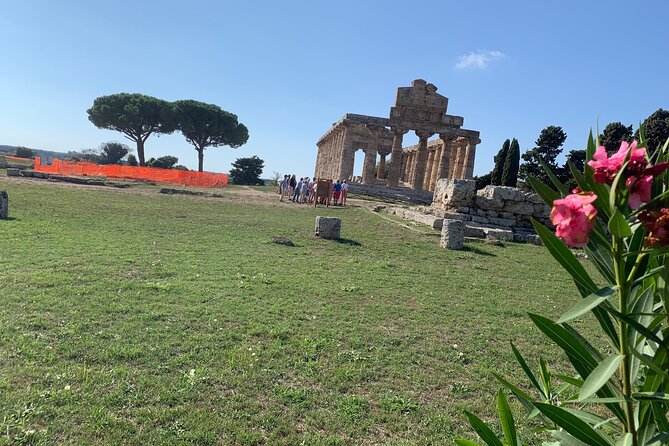 Paestum Private Tour From Naples - Pickup and Drop-off Details
