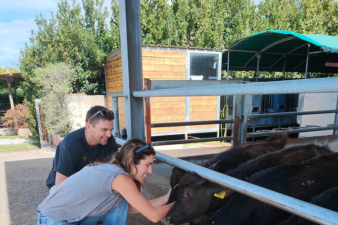 Paestum Traditions, Buffaloes, Ceramics, Temples - Buffalo Farm Experience