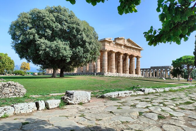 Paestum Traditions, Buffaloes, Ceramics, Temples - Embracing Paestums Unique Identity